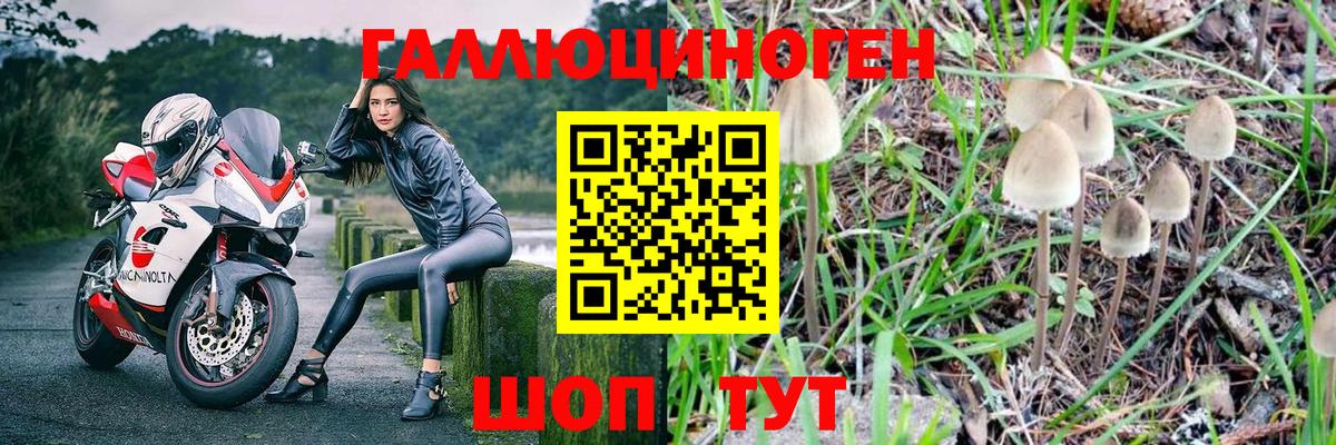 Псилоцибиновые грибы прущие грибы Каменск-Уральский