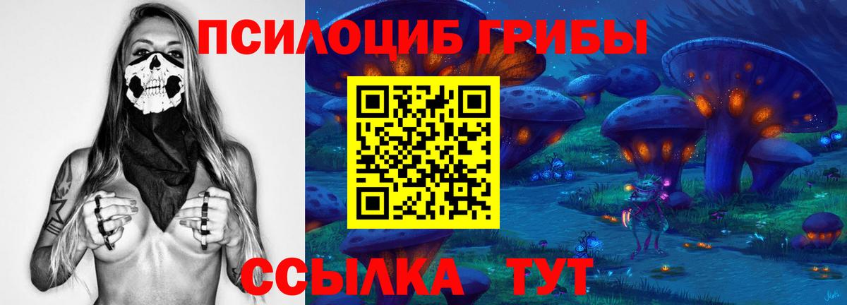 Каменск-Уральский  Галлюциногенные грибы прущие грибы  Галлюциногенные грибы GOLDEN TEACHER  Вход с VPN 